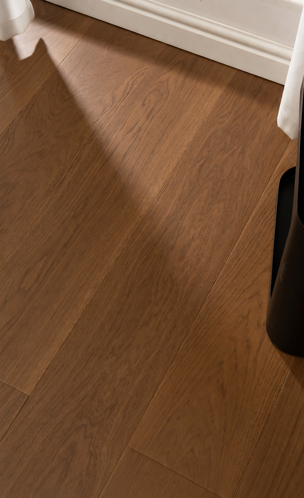 QN-6663 — Roble Europeo