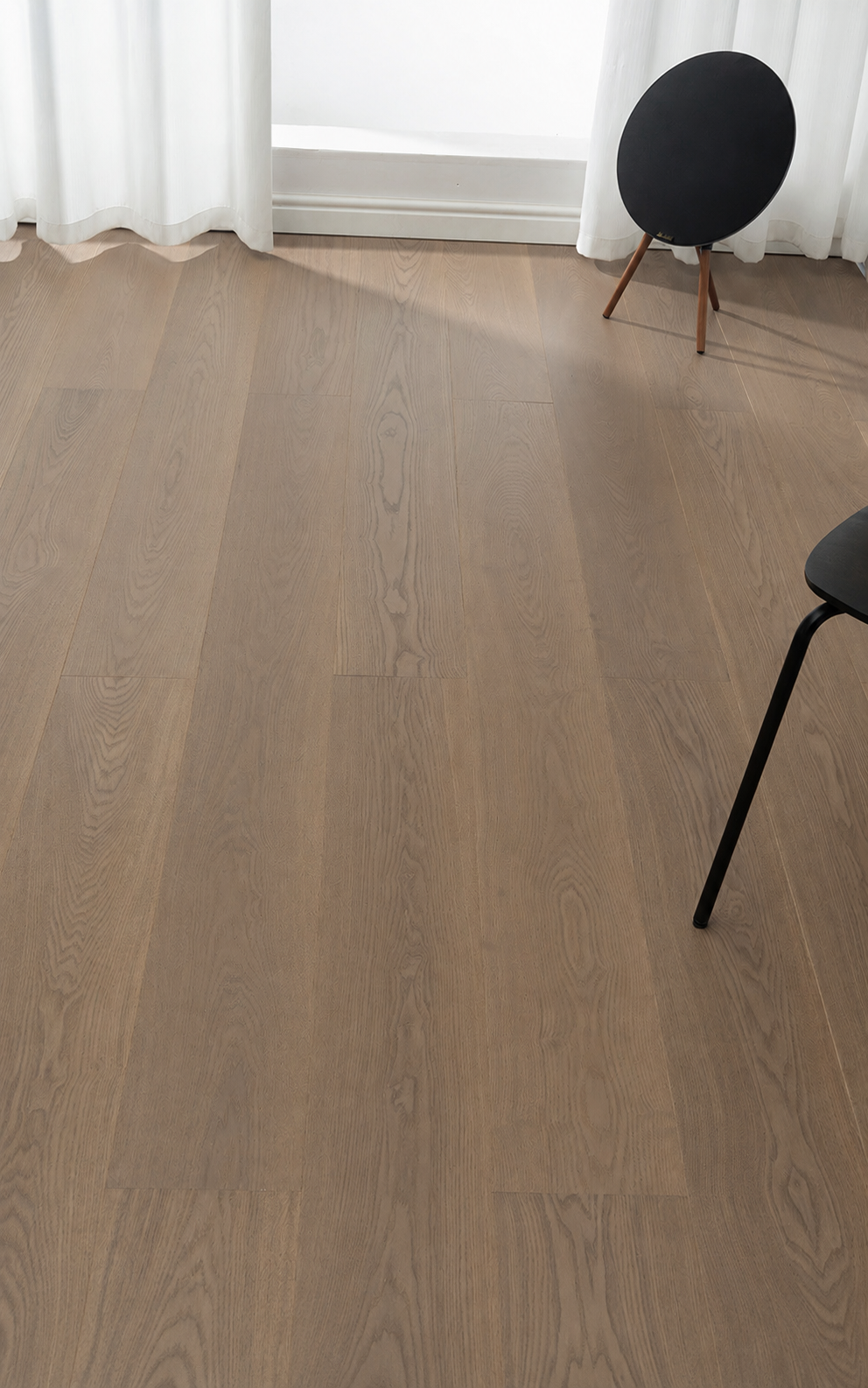 QN-6669 — European White Oak